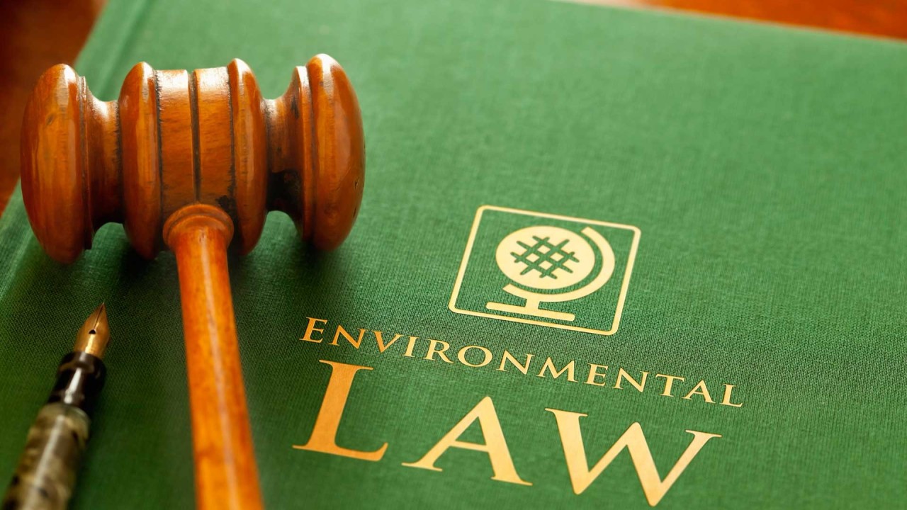 Why Having a Trusted Law Firm by Your Side Matters More Than Ever